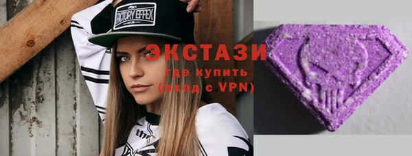 шишки Ельня