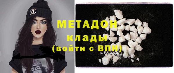шишки Ельня