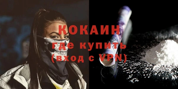 шишки Ельня