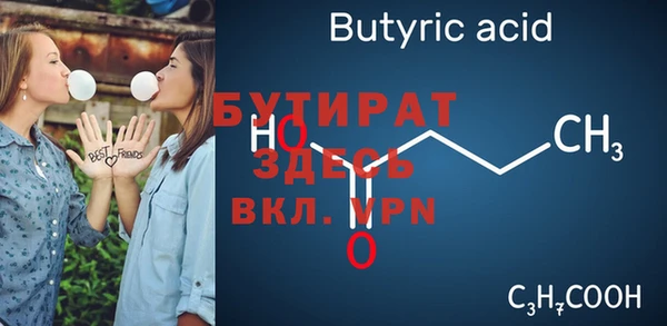 шишки Ельня