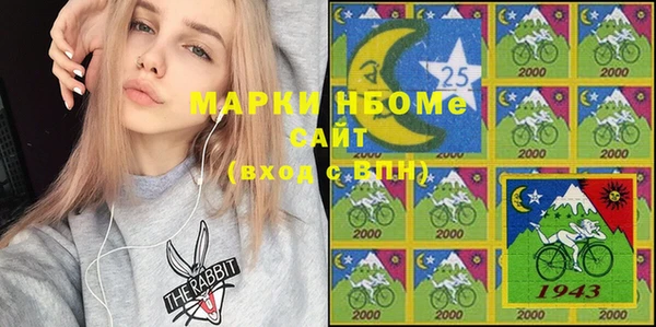 шишки Ельня