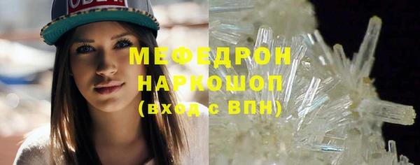 шишки Ельня