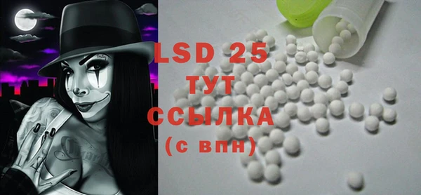 шишки Ельня