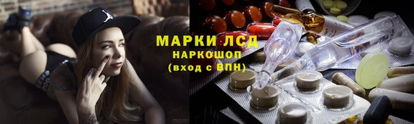 шишки Ельня
