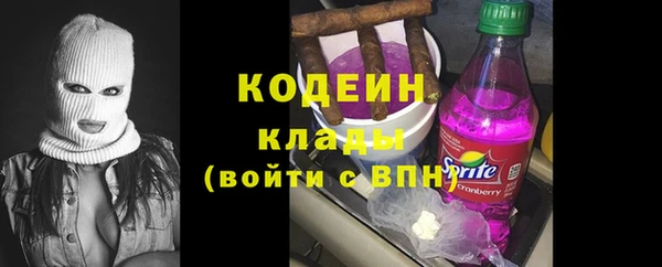 шишки Ельня