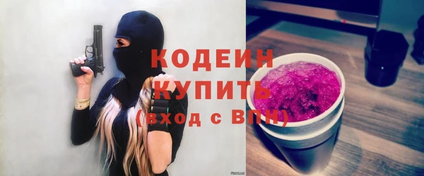 шишки Ельня