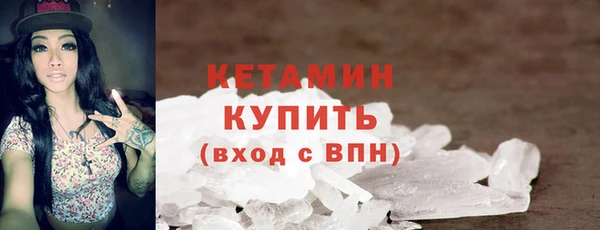 шишки Ельня