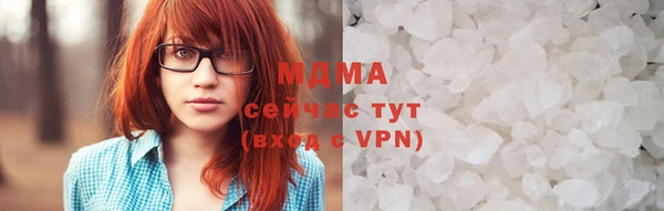 шишки Ельня