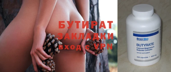 шишки Ельня