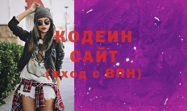 шишки Ельня