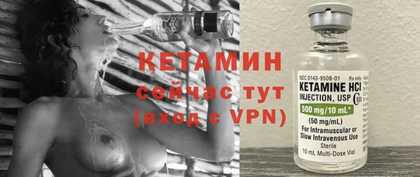 шишки Ельня