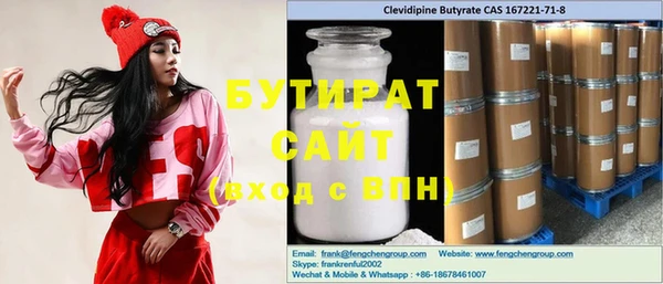 шишки Ельня