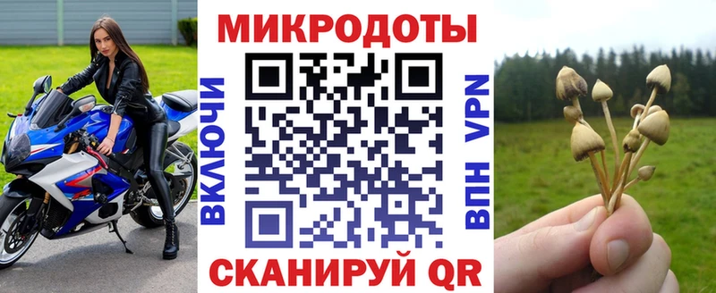 Псилоцибиновые грибы Psilocybine cubensis  Купить где  Краснокамск 